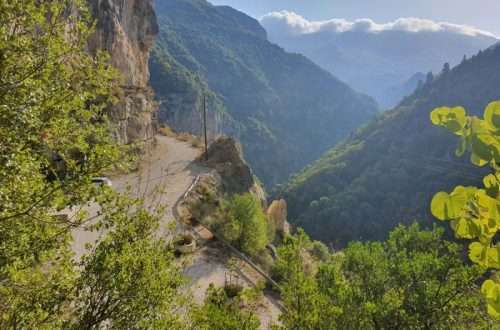 הכביש המוביל אל מנזר קיפינס