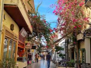 סמטה ציורית ומרוצפת אבן בעיר העתיקה של נאפפליו (Nafplio), מעוטרת בפרחי בוגנוויליה ורודים, עם בתי קפה וחנויות, יוון.