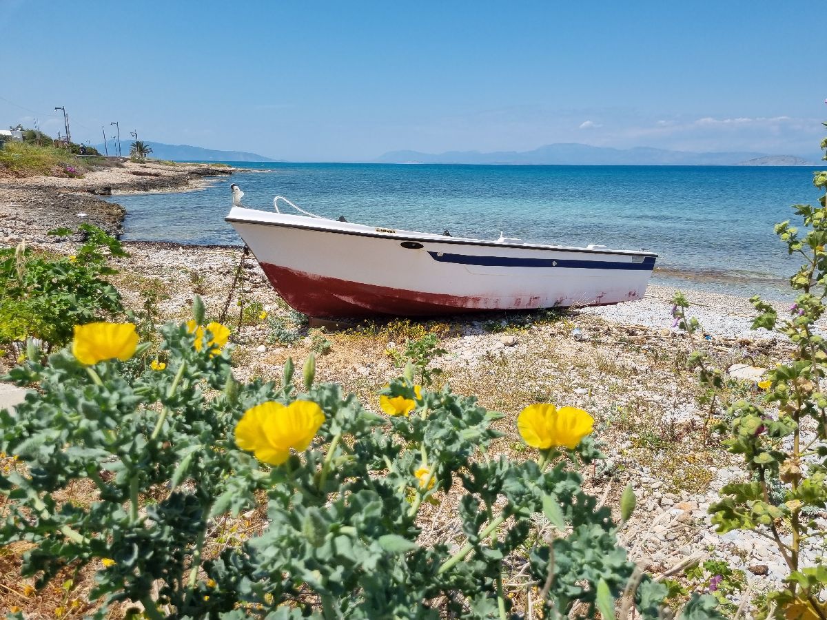 הטיילת הארוכה של אגיסטרי שמחברת בין שני הכפרים המרכזיים, עם פריחה אביבית, סירות דייגים ומים צלולים