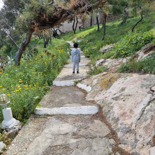 שבילים צד מזרח הידרה שבילים צד מזרח הידרה