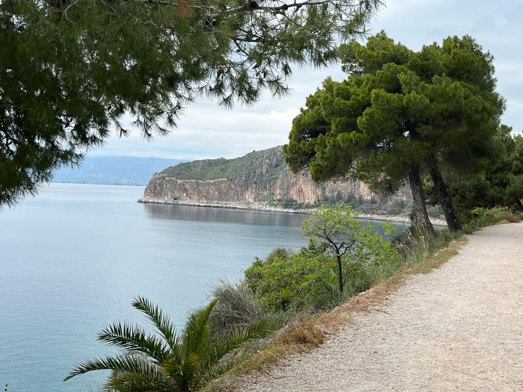 WhatsApp Image 2025-12-31 at 08.44.43