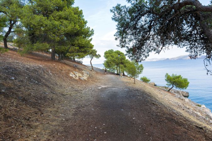 View of the forest of Bistis at the end of the picturesque city of Ermioni, Argolida, Peloponnese, Greece.