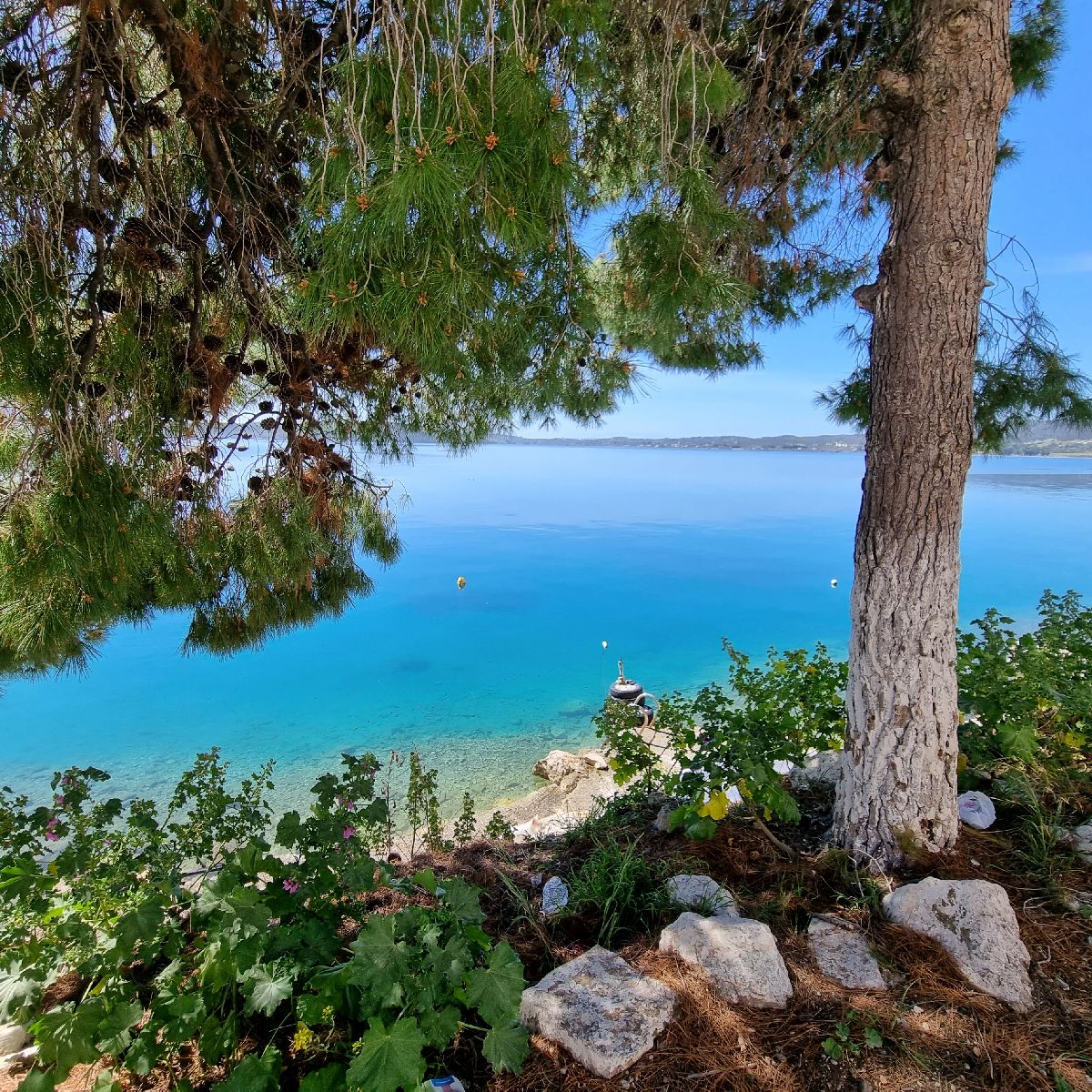 עצי אורנים נושקים לקו המים בצבע טורקיז, בצד האחורי של נמל הכפר ארמיוני הקסום. מזרח הפלופונס