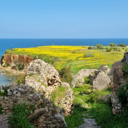 The castle of Koroni