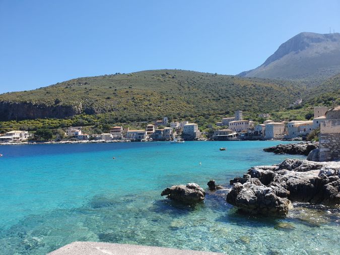 חפשו צבי ים בכפר היפה לימני