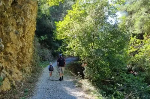 צילום נוף אופייני של מסלול סביב עמק ספרטה