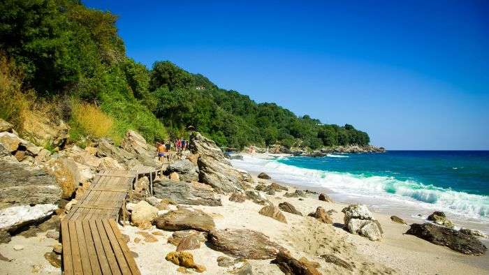 שביל עץ ציורי המוביל אל מי הטורקיז והסלעים של חוף פלאקה (Plaka Beach) במזרח פיליון, יוון.