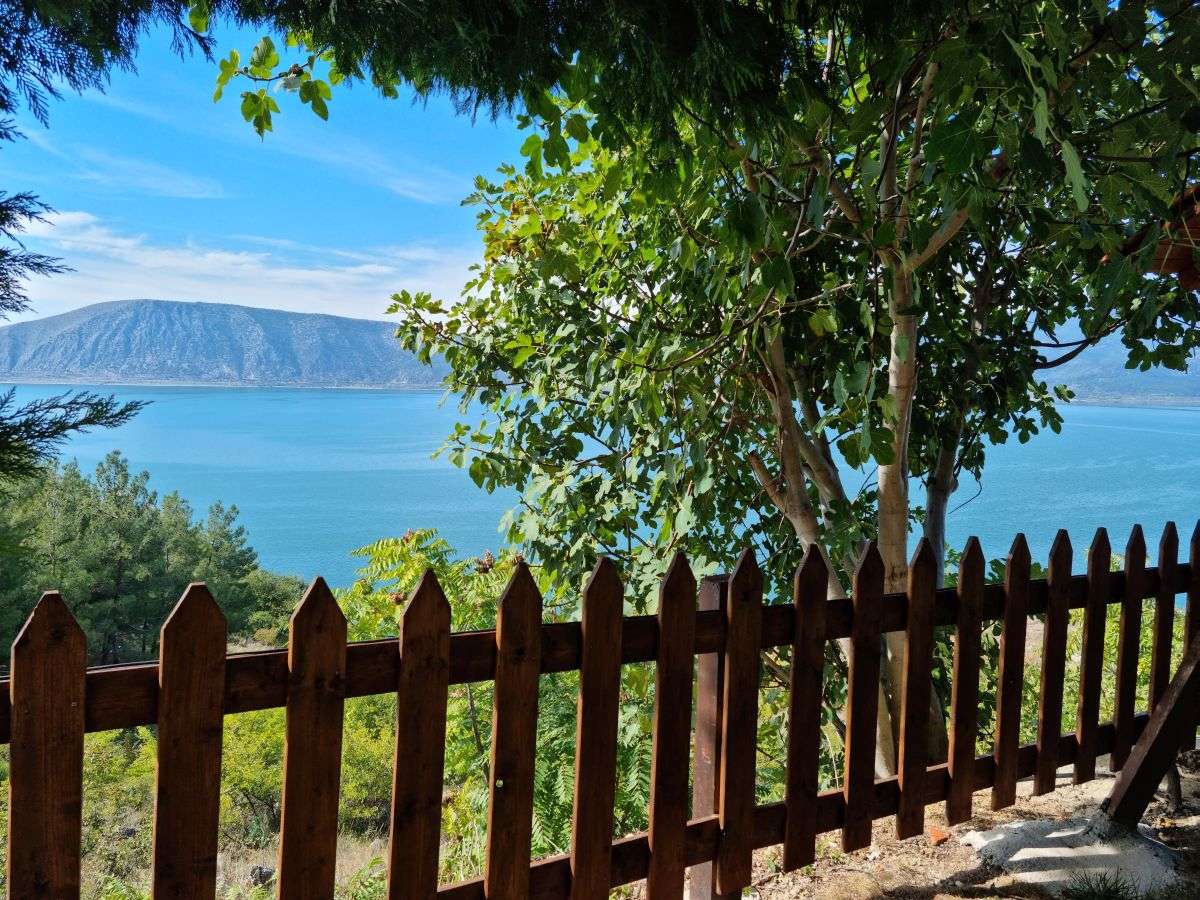 מפרץ ים כחול, על רקע עצים וגדר טבעית מעץ. צפון יוון, טיוליסט