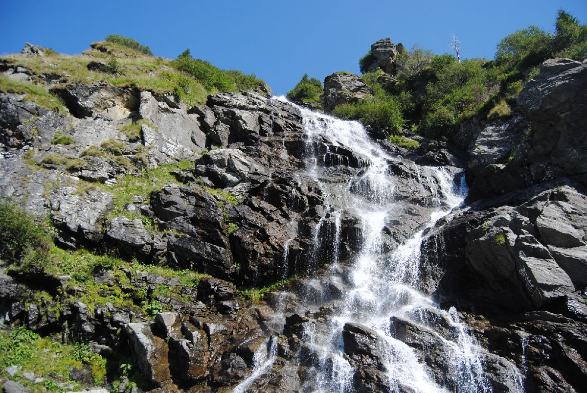 • מפל קאפרה (Cascada Capra) השוצף וזורם על פני קיר סלעים תלול וכהה המכוסה צמחייה ירוקה, לצד כביש הטרנספגרשאן בהרי פגראש, רומניה, תחת שמיים כחולים וצלולים.