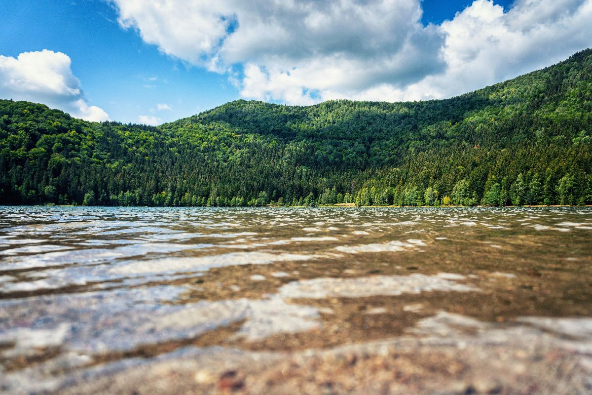 Saint Anne Lake.george-bakos-kr81vXbHLX0-unsplash