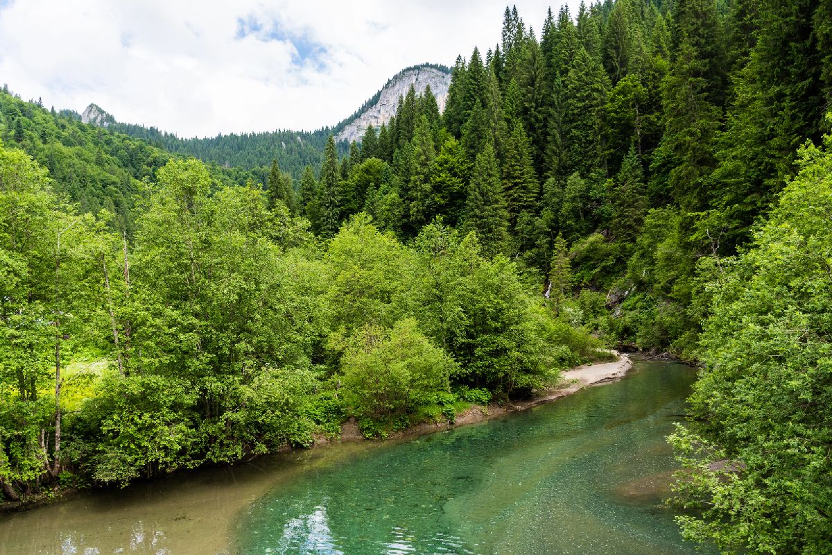 Scropoasa Lake, an artificial dam lake in the Bucegi Mountains, on the valley of the Ialomita River. Romania