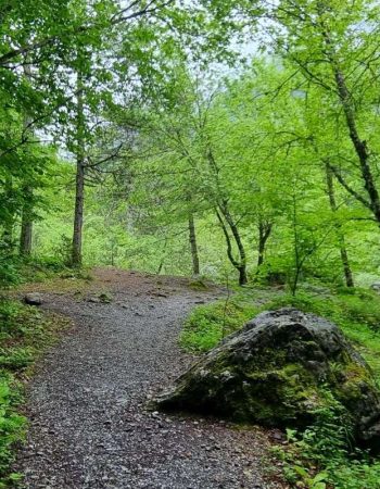 טיול בשמורת האולימפוס