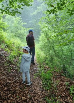 ללכת בתוך יער קריר, בערפל.